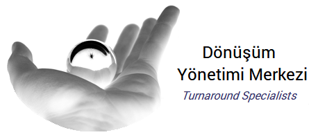Dönüşüm Yönetimi Merkezi Yönetim Danışmanlığı
